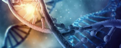 theta dna