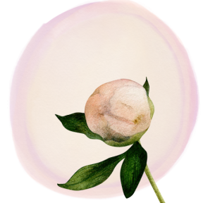 Reveal icon